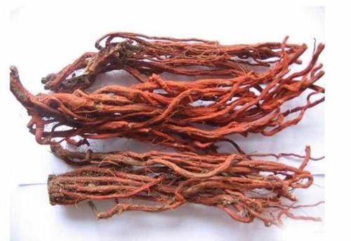 三七|三七和丹参,哪个通血管效果更好?今天就给大家科普一下!