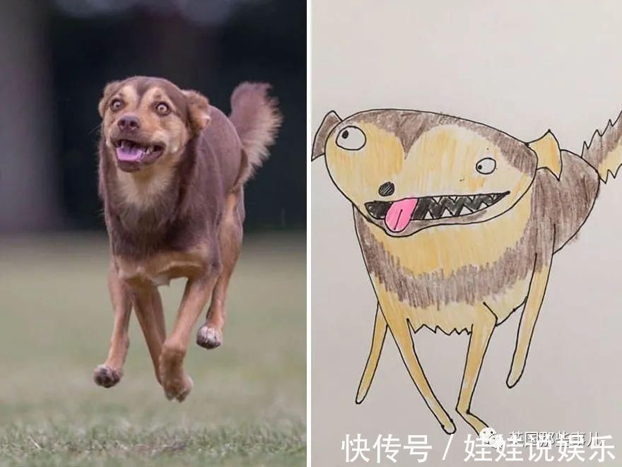 pet#随手涂鸦,自己觉得是“垃圾”的画作,没想到却在网上卖疯了