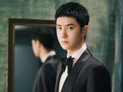 愛豆|樂華演唱會一片綠海，滿場都是王一博應(yīng)援色！不愧是樂華唯一TOP