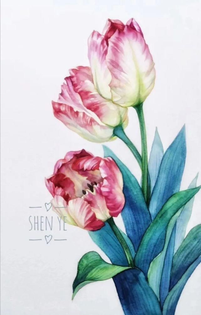  沈晔|她画出古风梦幻的水彩人物，融化了10万粉丝的心，这样的人也太温柔了！