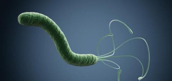 胃黏膜|幽门螺杆菌感染,不吃药能杀灭吗?5个谣言,一一为你澄清