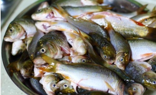  外酥里嫩的干炸小鱼，男人最爱的下酒菜
