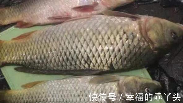 小药|钓鱼小药都是骗人的?20年老钓手坦言