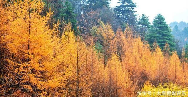 值得|西北最值得去的景区，是“沙漠中的绿洲”，古代修仙的人都住在这