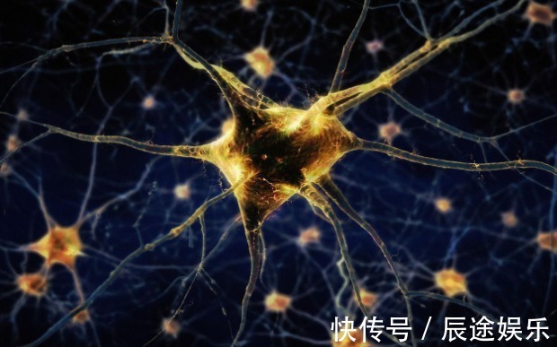 萃枫苷|最新老年痴呆测试:1分钟内找出12张人脸的人,说明大脑很年轻