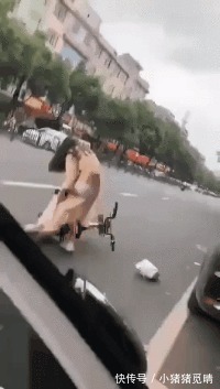 |搞笑GIF：这货就这么在这玩半天了，连小鱼干都不吃