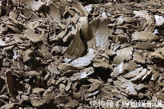 山楂片|好用的鱼饵不仅是蚯蚓，这几种常见物料做饵料，效果不比它差