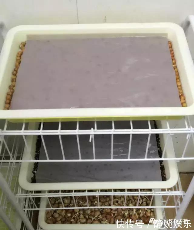 学会纸上种菜,在家就能做菜农,青菜不用买!