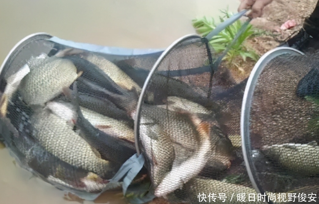吃透|湖库的黄金钓点怎么找,这两句话吃透了,就一点也不难