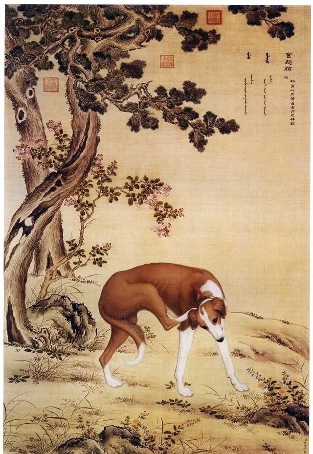 民间|民间说“狗肉上不了宴席”,为何还有那么多人吃狗肉?原因有很多