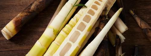 立春到，春将至，这5种春菜要常吃，应季而食，鲜嫩营养去春燥