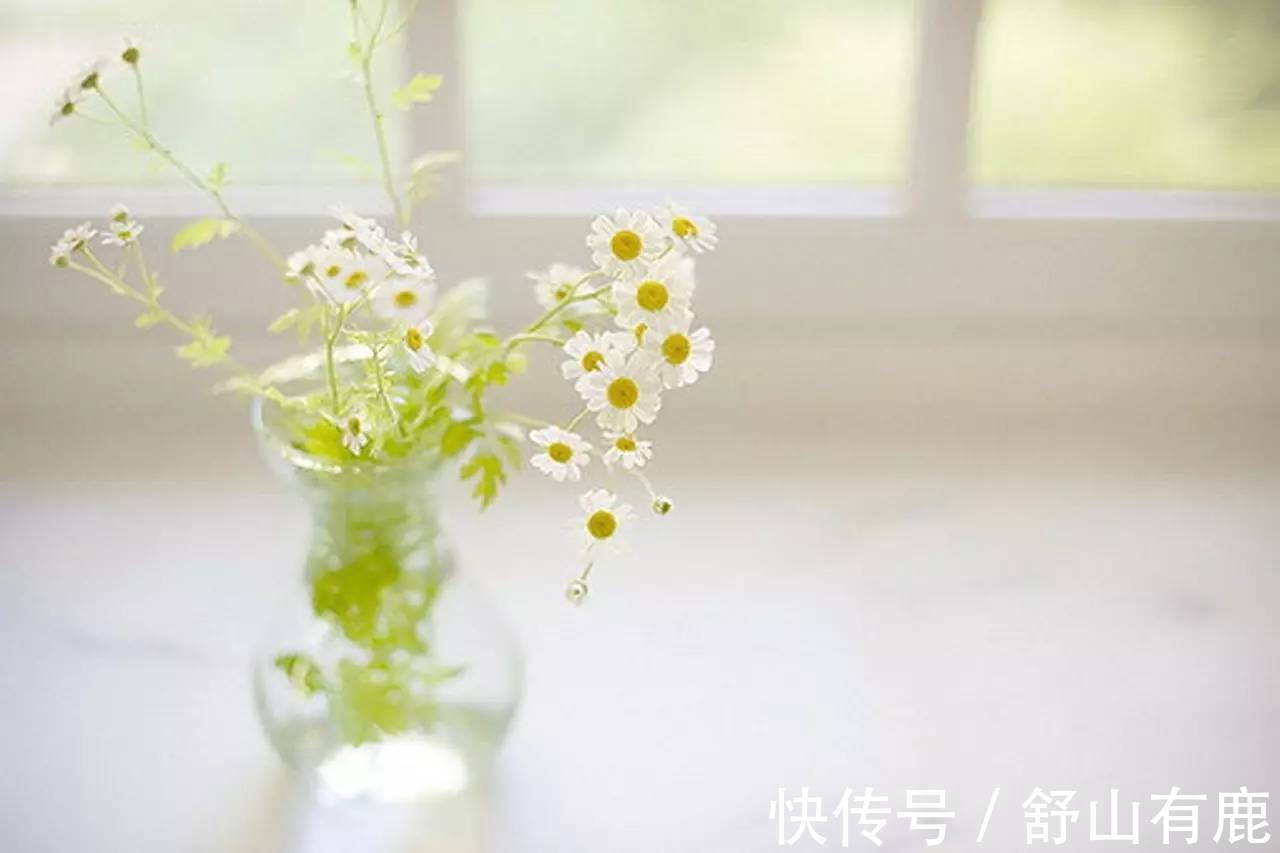 有钱人!人活一世,一眨眼就到头了:人生最大的意义,不过是做好这件事