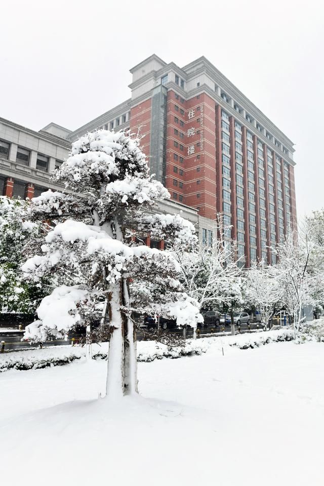 救治|“下雪天”摔倒不要慌，株洲市中心医院创伤中心为您保驾护航