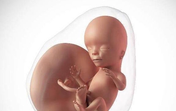 骨骼|胎儿这个月的时候可能发育最快，孕妈妈尽量多注意，及时补充营养