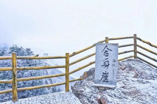 雾凇|点赞破百万的世界级雪景！雾凇云海，仿佛“误入天宫”，这里早该火了！