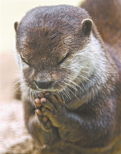 疗效|“别把中医想的太神”兢兢业业一辈子的老中医,讲出的实话