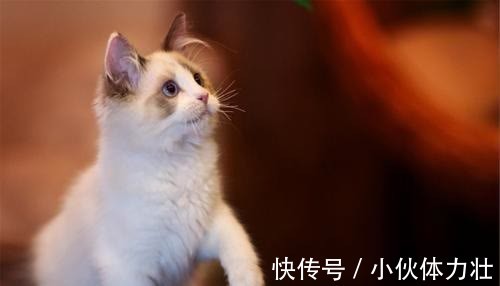 |幽默笑话:今天早晨我爸刷朋友圈,看到条朋友圈很惊讶的跟我妈说