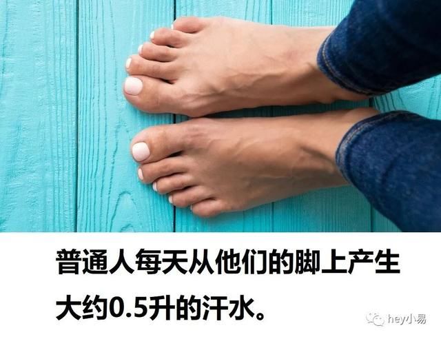 冷知识｜麦当劳金卡有什么用？