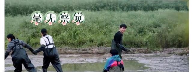 向往的生活|《向往的生活5》何炅等人抓泥鰍，張藝興害怕，想出妙招應對