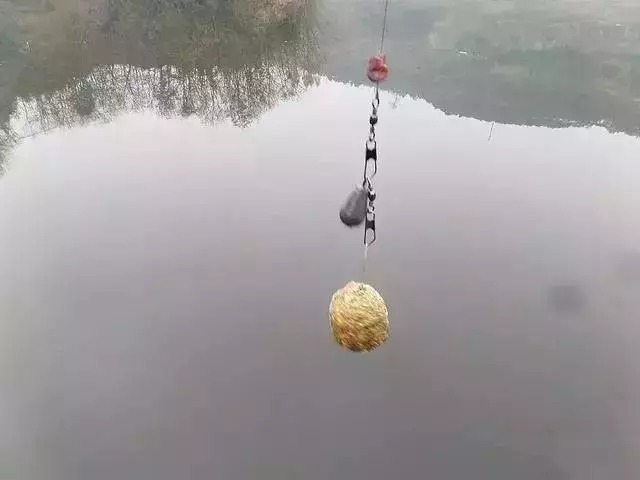 饵料|爆炸钩钓鲤鱼,一天十条大家伙绰绰有余,钓鱼钓到手发软