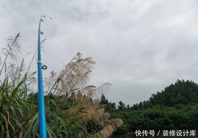 浅水好钓鱼,但这4件事你不可不知,弄错一件就与大鱼无缘