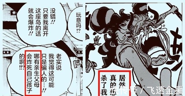 御田|海贼王尾田六大伏笔,证明大和是御田儿子桃之助是凯多儿子