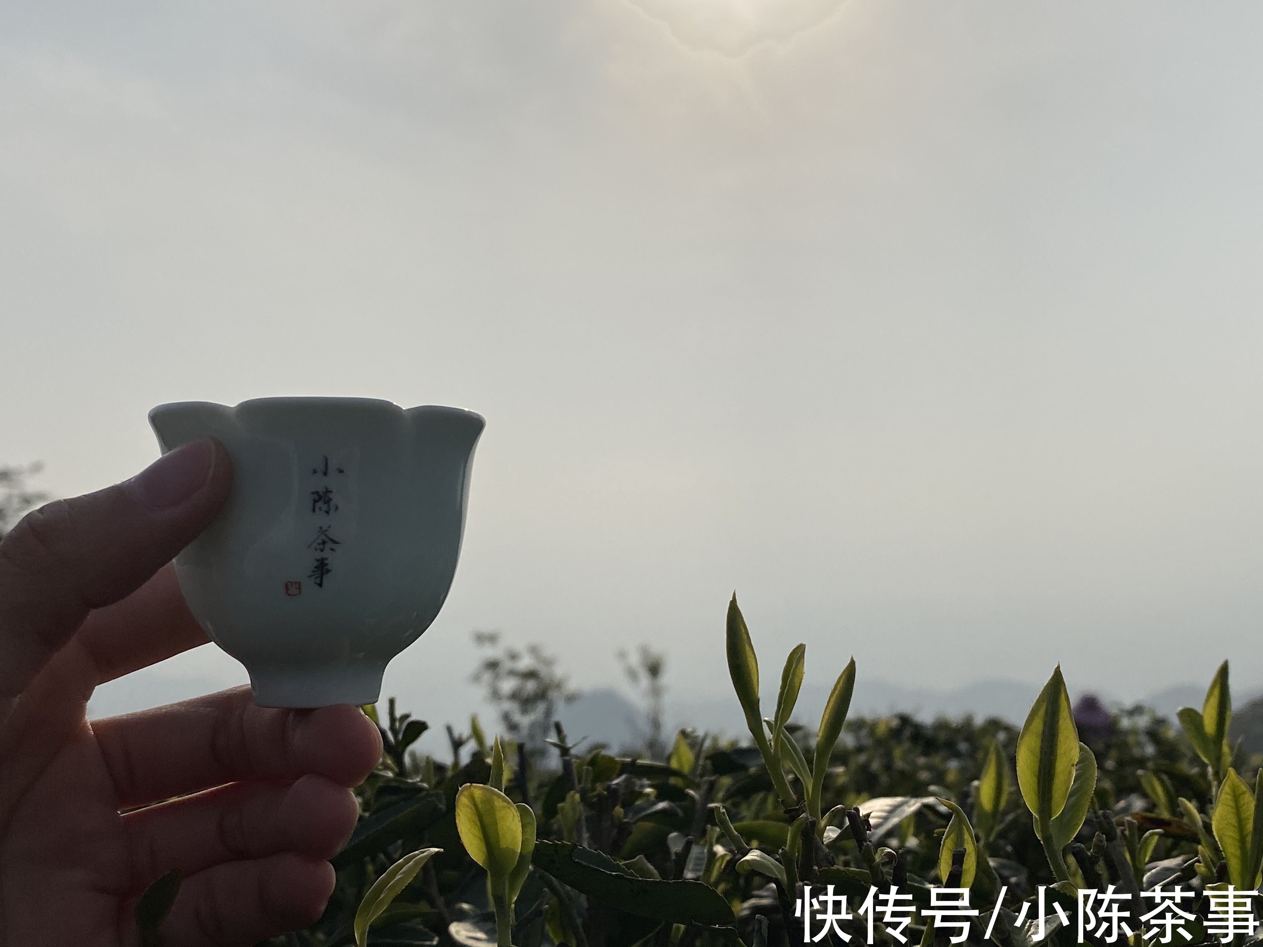 茶汤&白茶喝起来有点甜，就是回甘吗？那“苦尽甘来”又是怎么回事？