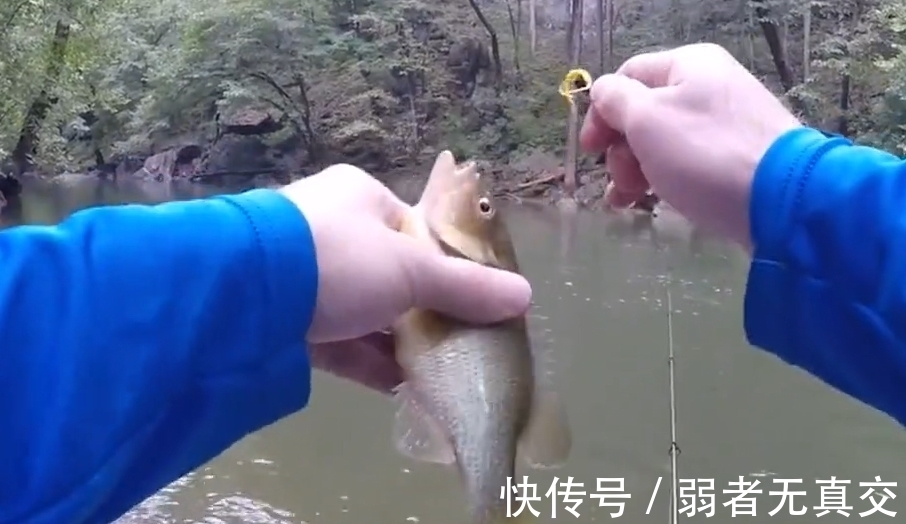 独一无二的钓鱼方式,不需要任何鱼饵,大鱼就自动上钩!