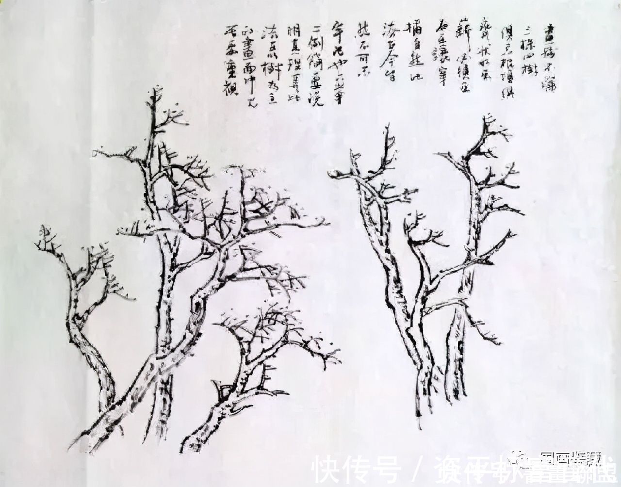 柳树#中国画如何画松树、丛树、柳树、竹林,中国画树的画法大全