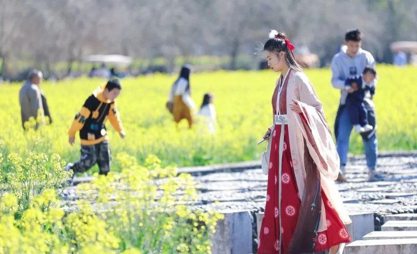 老年|温泉牧羊湖油菜花盛开，牛年第一抹暖色！