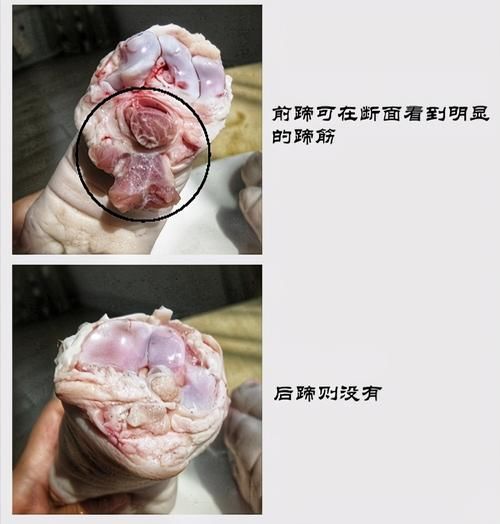 卤猪蹄,“前蹄”和“后蹄”要分清,差别挺大,弄错了难吃花冤枉钱