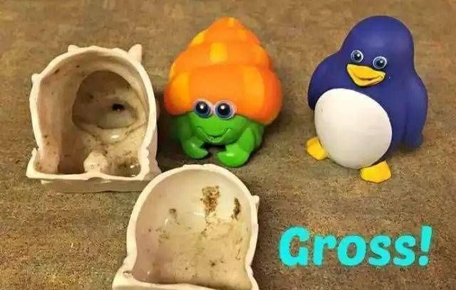 宝宝|好可怕!宝宝天天吃的牙胶和奶嘴,竟然比抹布还脏!