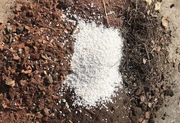 没出现这3种状态,别给植物乱换盆土,不然全是瞎折腾