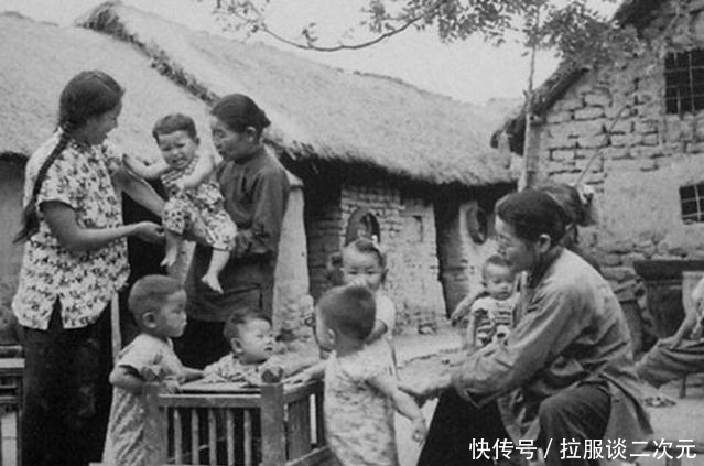 老照片|50年代的中国老照片：小学生捡稻根灭螟虫，女人杀猪干净利落！