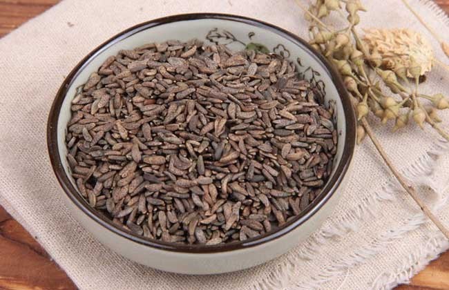 小便|中医泰斗张锡纯106则用药经验总结!满满的干货,值得收藏!