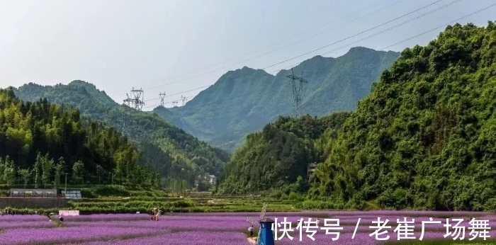 湘西十八洞|湖南最值得来的景区，媲美湘西十八洞，还有800年的古树，超吸睛