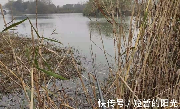 任何天气|冬季钓鲫鱼，天气不同鱼群位置不同，根据天气找鱼窝，渔获有保证