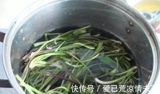 欧阳修|它是炎症的克星, 是草药, 还可当菜吃!它是炎症的克星, 是草药, 还可当菜吃!