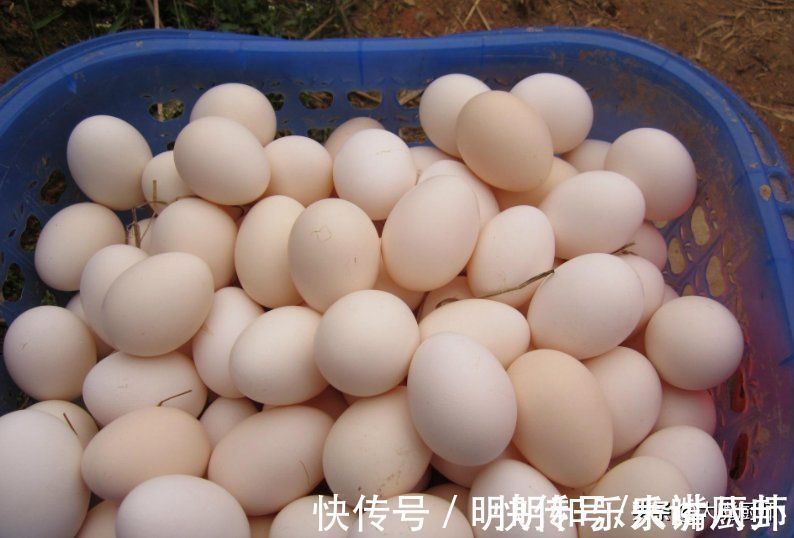 土鸡蛋|关于鸡蛋的5个“误解”,原来一直吃错了,为了健康,建议看一看
