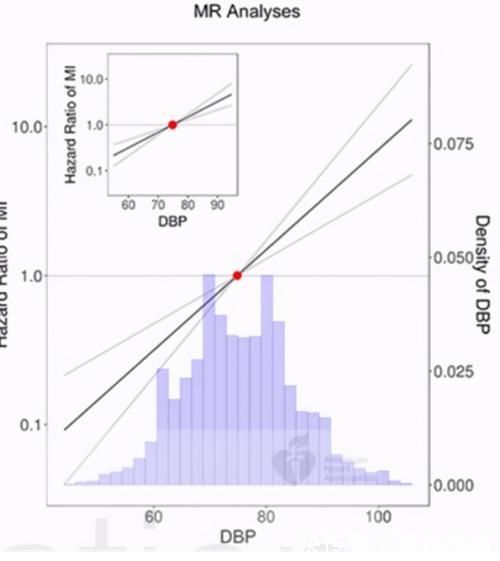 高血压|高血压治疗有了新见解,舒张压不存在“危险低值”