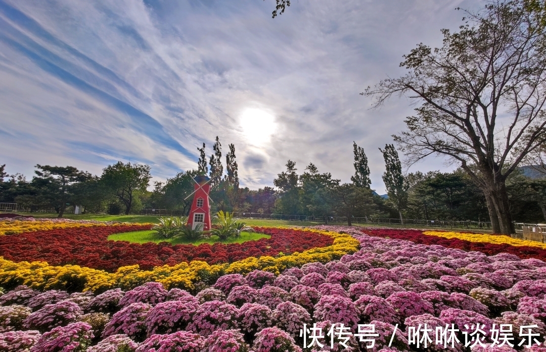 蜜蜂研究所|北京的这座蜜蜂食堂能有多佛系？