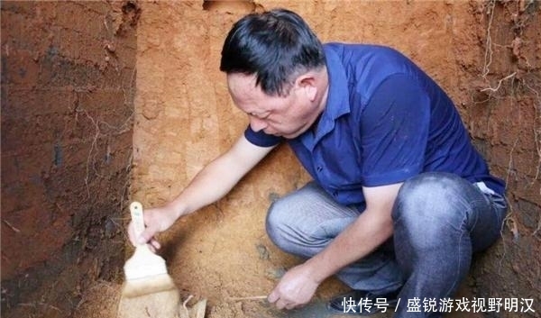 专家|农村一老汉猪圈频繁丢猪,无奈报警,专家赶到后却乐开了花