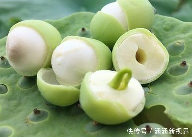 吃法|新鲜的莲子,这样吃才对,平时那样的食用方法,都错了!快看吧!