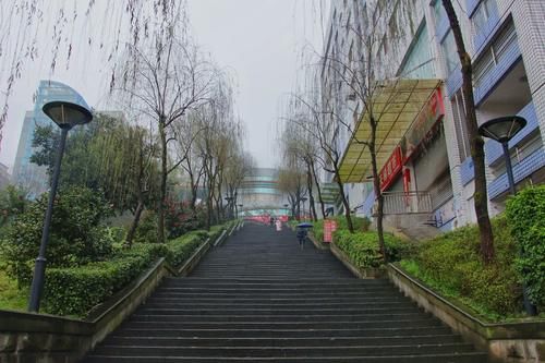 重庆极富特色的大学，建在南山上，《既然青春留不住》曾在此取景