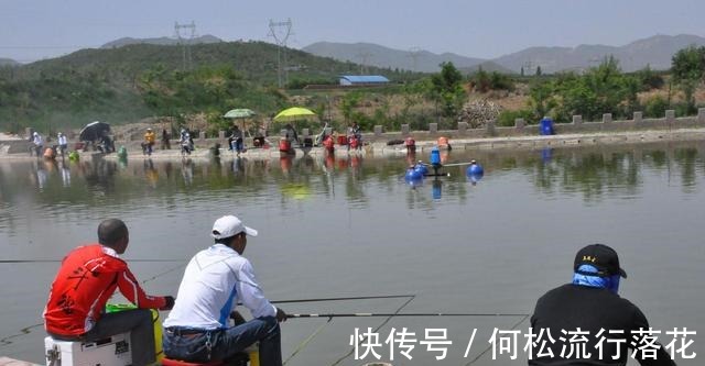 鱼类|什么鱼喜欢吃甜食喜欢吃甜食的鱼类盘点,钓鱼饵料的甜度搭配!