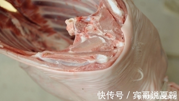 身体|总吃肉和几乎不吃肉的人相比，谁的身体会更健康？给您讲讲