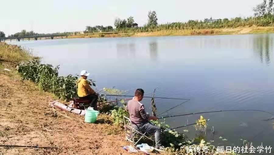 动物蛋白|鲤鱼越大越难钓,没料想我用这三招,上鱼率不是一般的高!莫忽视