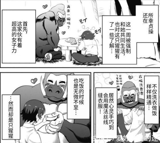 女主角|这部十月新番，女主出场是只大猩猩，在被男主告白后变成了美少女
