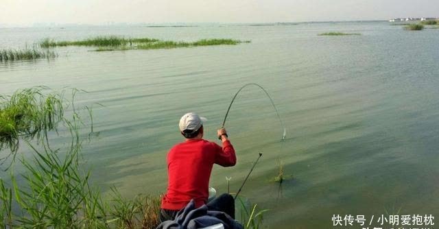 暖春为啥鱼难钓?钓鱼高手:钩和鱼不在一个水层,看懂的偷着乐吧