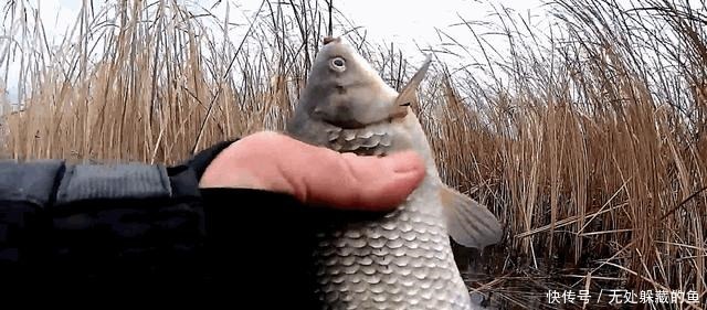 翻倍|夏季天热大鱼都躲在哪里找准几处鱼道野钓，渔获量翻倍！